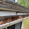 Clogged Gutters: The Main Culprit Behind Roof Damage